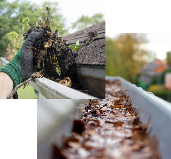 roof cleaning