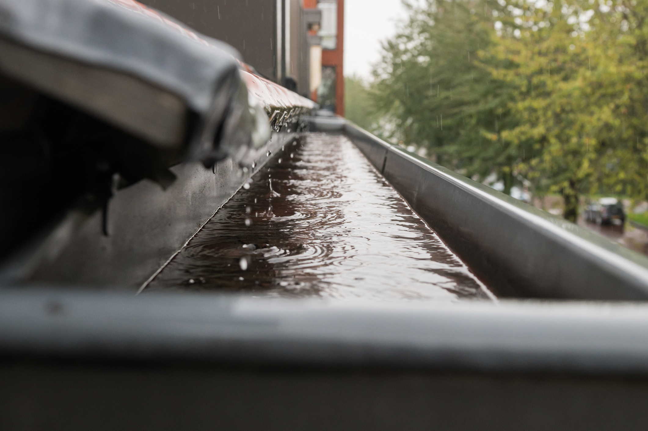 Shield Your Home: Importance of Rain Gutter Cleaning Service