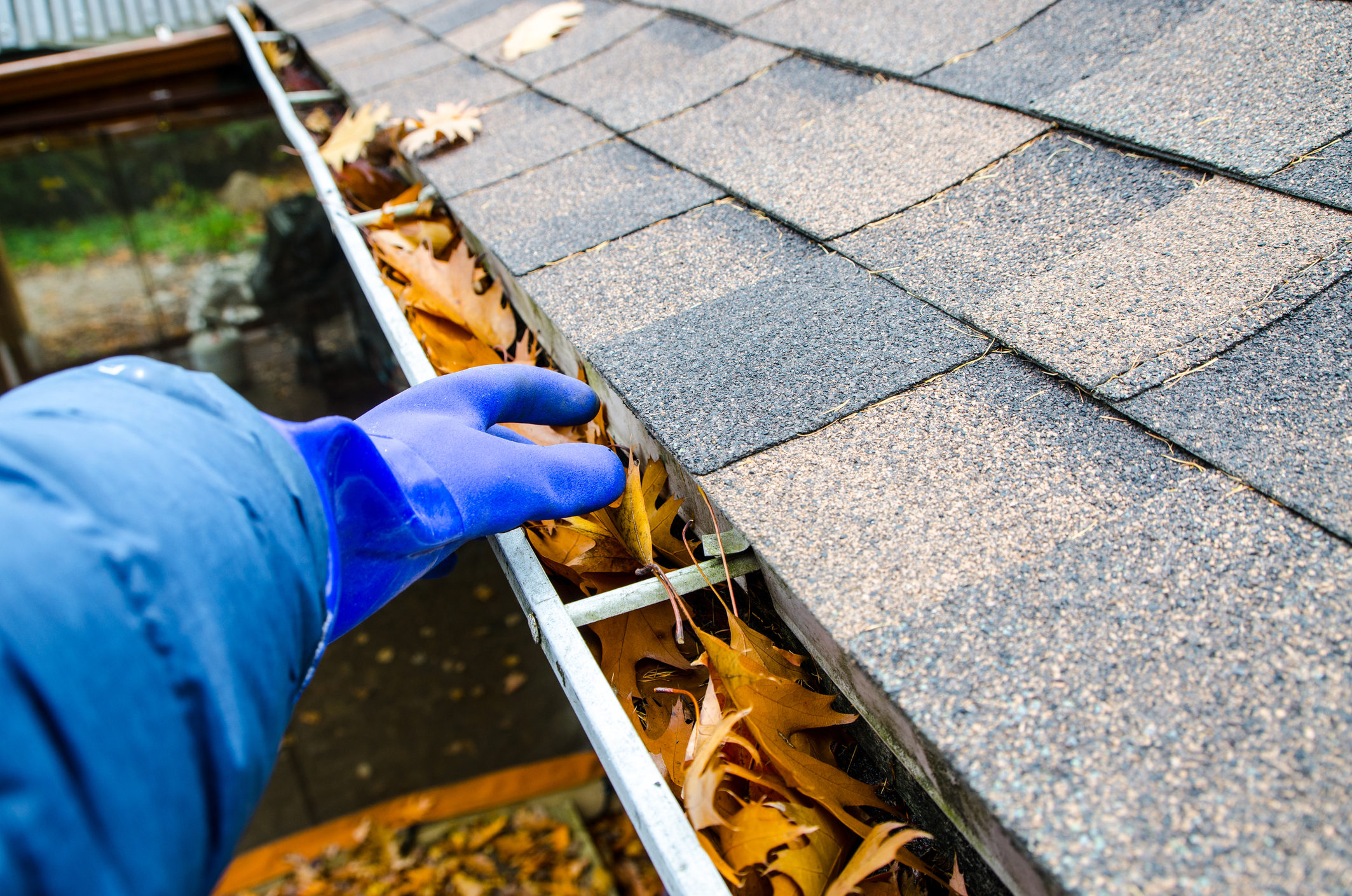 gutter cleaning